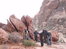 photo thumbnail #12