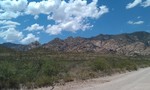 photo thumbnail #2