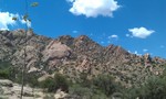 photo thumbnail #6