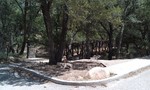 photo thumbnail #8