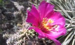 photo thumbnail #15