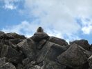photo thumbnail #11