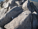 photo thumbnail #10