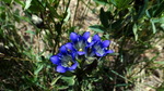photo thumbnail #12