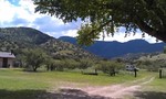 photo thumbnail #2