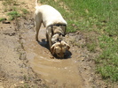 photo thumbnail #2