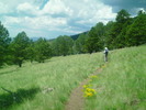 photo thumbnail #4