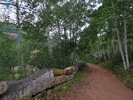 photo thumbnail #11
