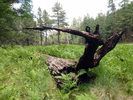 photo thumbnail #6