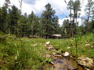 photo thumbnail #7