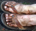photo thumbnail #14