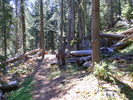 photo thumbnail #5