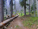 photo thumbnail #6