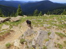 photo thumbnail #8
