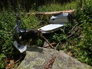 photo thumbnail #11