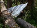 photo thumbnail #13