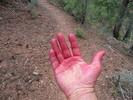 photo thumbnail #11