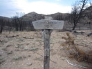 photo thumbnail #11