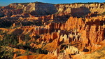 photo thumbnail #14