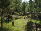 photo thumbnail #1