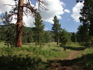 photo thumbnail #2