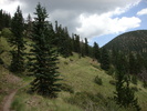 photo thumbnail #6