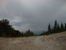 photo thumbnail #13