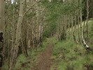 photo thumbnail #15