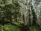 photo thumbnail #4