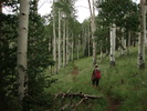 photo thumbnail #10