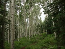 photo thumbnail #12