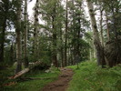 photo thumbnail #13