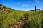 photo thumbnail #8