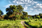 photo thumbnail #11