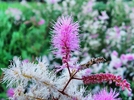 photo thumbnail #12