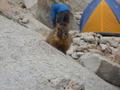 photo thumbnail #13