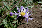 photo thumbnail #2