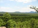 photo thumbnail #12