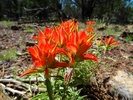 photo thumbnail #15