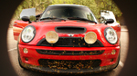 photo thumbnail #14
