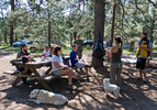photo thumbnail #10