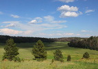 photo thumbnail #6