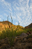 photo thumbnail #13
