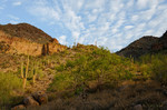 photo thumbnail #14