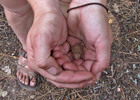 photo thumbnail #9