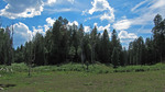 photo thumbnail #11