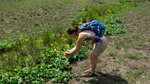 photo thumbnail #12