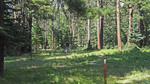 photo thumbnail #14