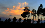 photo thumbnail #13
