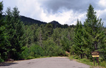 photo thumbnail #1